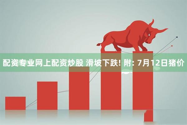 配资专业网上配资炒股 滑坡下跌! 附: 7月12日猪价