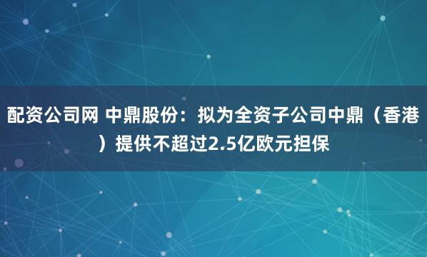 配资公司网 中鼎股份：拟为全资子公司中鼎（香港）提供不超过2.5亿欧元担保