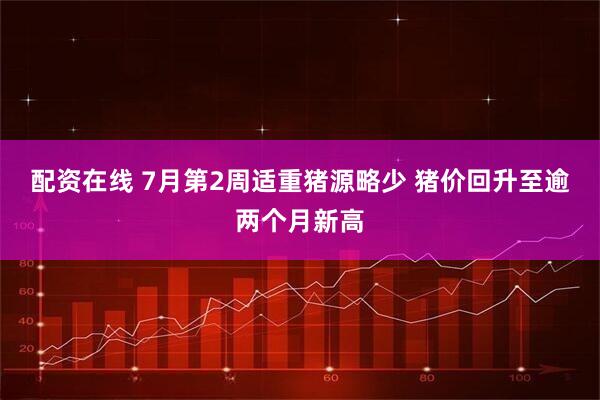 配资在线 7月第2周适重猪源略少 猪价回升至逾两个月新高